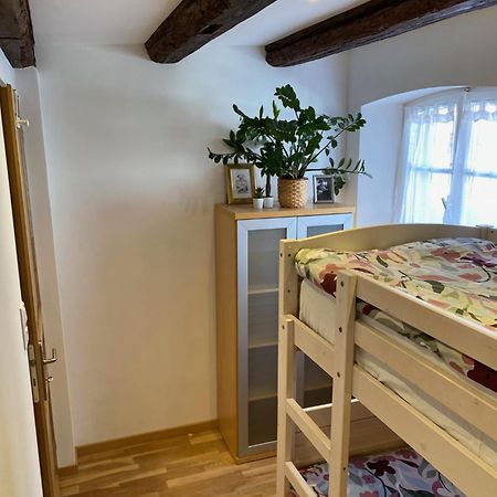 Le 128, Duplex Alsacien 10 Personnes, Piscine Appartement Horbourg Buitenkant foto