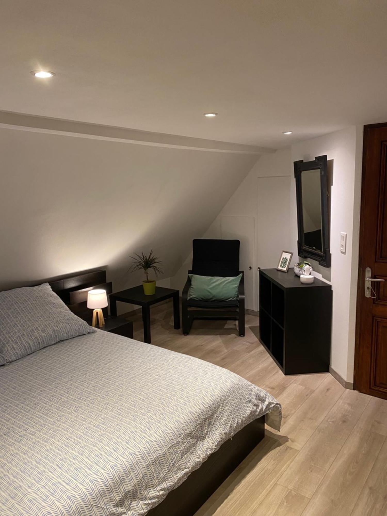 Le 128, Duplex Alsacien 10 Personnes, Piscine Appartement Horbourg Buitenkant foto