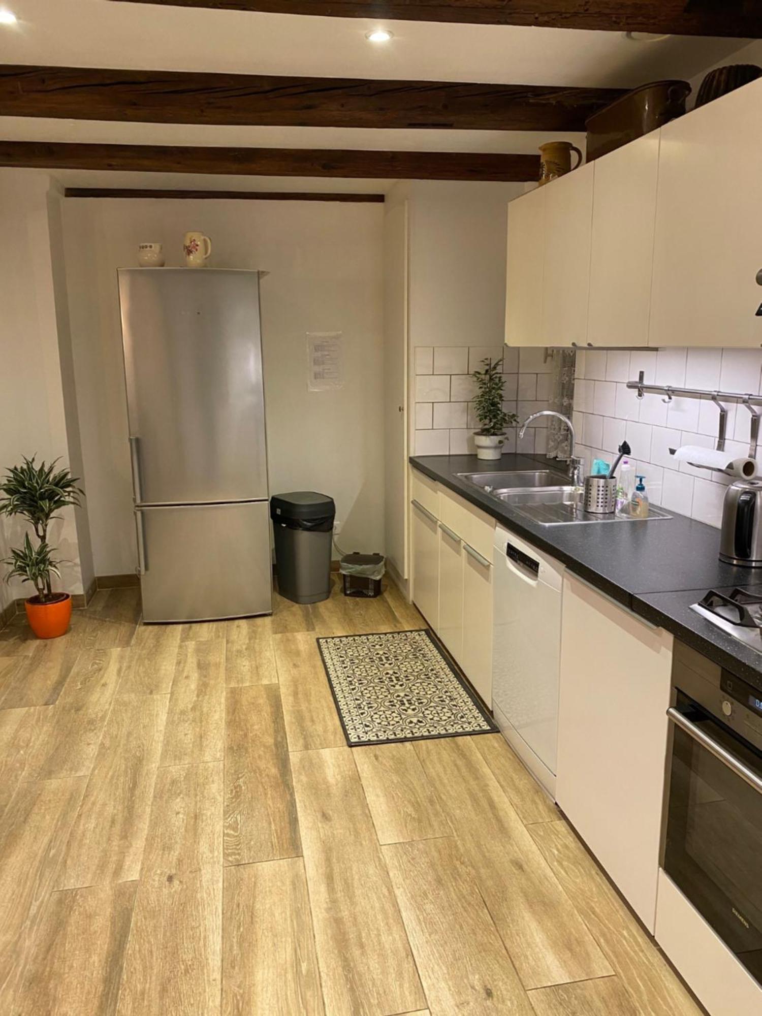Le 128, Duplex Alsacien 10 Personnes, Piscine Appartement Horbourg Buitenkant foto